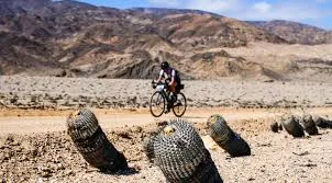 Paisagem vasta do deserto com montanhas ao fundo